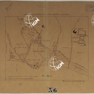 PLANIMETRIA DEI TERRENI CHE LO STATO POSSIEDE UN SELINUNTE.