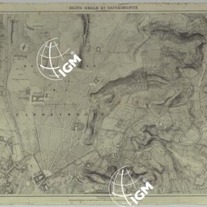 PIANTA DELLA CITTA' DI NAPOLI - FOGLIO 4 BOSCO REALE DI CAPODIMONTE.