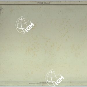 PIANTA DELLA CITTA' DI NAPOLI - FOGLIO 15 FIUME REALE.