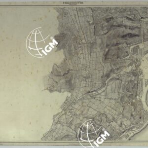 PIANTA DELLA CITTA' DI NAPOLI - FOGLIO 21 PIEDIGROTTA.