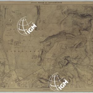 PIANTA DELLA CITTA' DI NAPOLI EDIZIONE A FOGLI MONTATI SU TELA E CON CURVE BATOMETRICHE - FOGLIO 4 BOSCO REALE DI CAPODIMONTE.