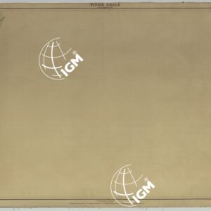 PIANTA DELLA CITTA' DI NAPOLI EDIZIONE A FOGLI MONTATI SU TELA E CON CURVE BATOMETRICHE - FOGLIO 15 FIUME REALE.