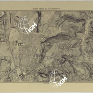 PIANTA TOPOGRAFICA DELLA CITTA' DI NAPOLI ALLA SCALA DI 1:4.000 - FOGLIO 4 BOSCO REALE DI CAPODIMONTE.