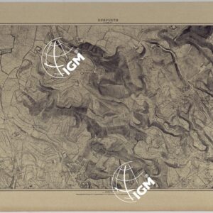 PIANTA TOPOGRAFICA DELLA CITTA' DI NAPOLI ALLA SCALA DI 1:4.000 - FOGLIO 7 DUEPORTE.