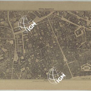 PIANTA TOPOGRAFICA DELLA CITTA' DI NAPOLI ALLA SCALA DI 1:4.000 - FOGLIO 13 MUSEO NAZIONALE.
