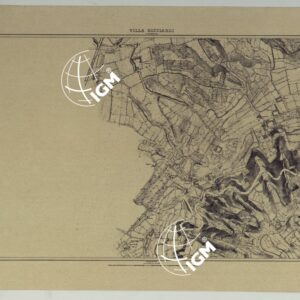 PIANTA TOPOGRAFICA DELLA CITTA' DI NAPOLI ALLA SCALA DI 1:4.000 - FOGLIO 16 VILLA RICCIARDI.