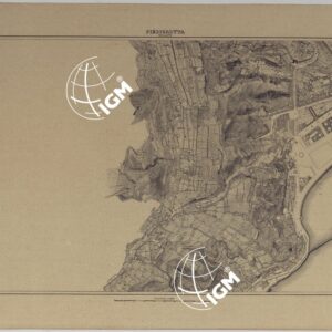 PIANTA TOPOGRAFICA DELLA CITTA' DI NAPOLI ALLA SCALA DI 1:4.000 - FOGLIO 21 PIEDIGROTTA.