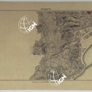 PIANTA TOPOGRAFICA DELLA CITTA' DI NAPOLI ALLA SCALA DI 1:4.000 EDIZIONE CON APPROVAZIONE PER AGGIORNAMENTI CATASTALI - FOGLIO 21 PIEDIGROTTA.