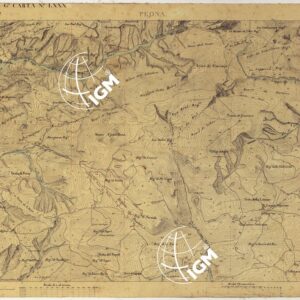 TERRITORIO DELLA CONTEA DI NIZZA -TAVOLA 19  PEONA.