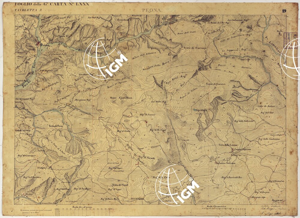 TERRITORIO DELLA CONTEA DI NIZZA -TAVOLA 19 PEONA.