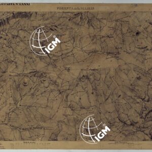 TERRITORIO DELLA CONTEA DI NIZZA - TAVOLA 58 FORESTA DELLA MAIRIS.