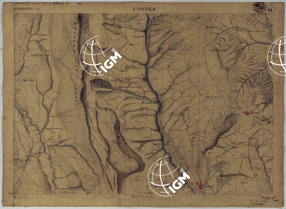 TERRITORIO DELLA CONTEA DI NIZZA - TAVOLA 81 CONTES.