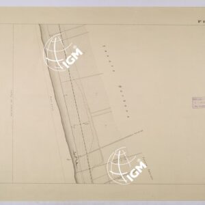 VIAREGGIO BALIPEDIO DELLA R. AMRINA - FOGLIO 2.