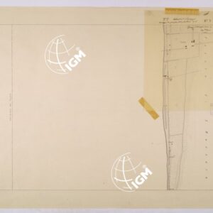 VIAREGGIO BALIPEDIO DELLA R. AMRINA - FOGLIO 7.