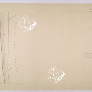 VIAREGGIO BALIPEDIO DELLA R. AMRINA - FOGLIO 11.