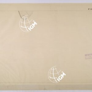 VIAREGGIO BALIPEDIO DELLA R. AMRINA - FOGLIO 13.