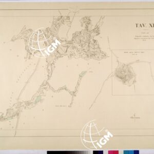 TARTARO - TAVOLA XI.