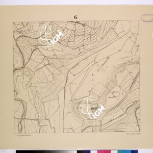 POLIGONO DI NETTUNO - FOGLIO G.