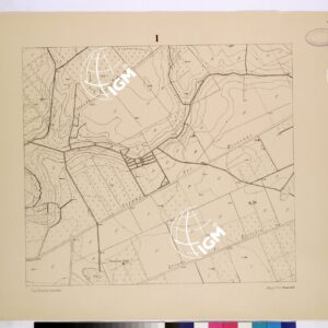 POLIGONO DI NETTUNO - FOGLIO I.