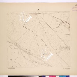 POLIGONO DI NETTUNO - FOGLIO A1.