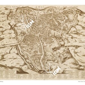 SIENA VETUS CIVIT AS VIRGINIS. MATTEO FLORIMI FOR.