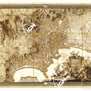 PIANTA DELLA CITTA' DI NAPOLI COME ESISTE NEL PRESENTE ANNO MDCCXC J. A. RIZZI-ZANNONI. REG. GEOGR. ACCAD. SCIENT. PATAV. GOETING. ELECT. PALAT. ecc.