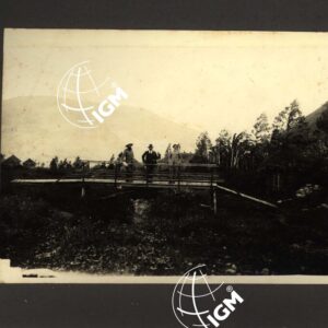 Uollo - FT00000030