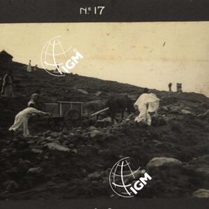 Uollo - FT00000038
