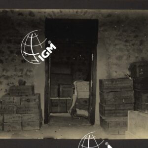 Uollo - FT00000041