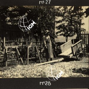 Uollo - FT00000048
