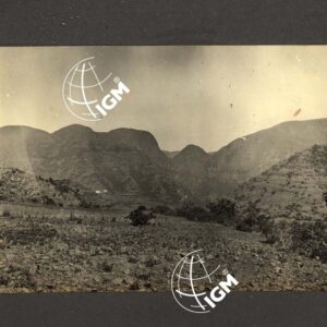 Uollo - FT00000064
