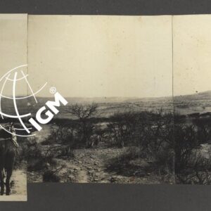 Eritrea - Agamè - Endertà - Uogerat - Azebò -Galla - Ieggiù - FT00000094
