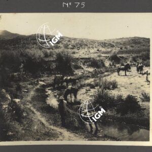 Eritrea - Agamè - Endertà - Uogerat - Azebò -Galla - Ieggiù - FT00000097