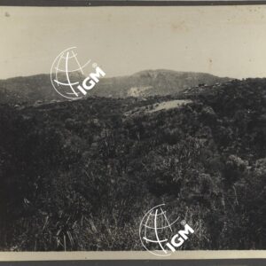 Eritrea - Agamè - Endertà - Uogerat - Azebò -Galla - Ieggiù - FT00000099