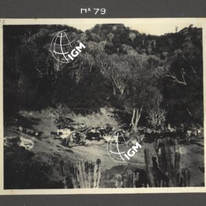 Eritrea - Agamè - Endertà - Uogerat - Azebò -Galla - Ieggiù - FT00000101