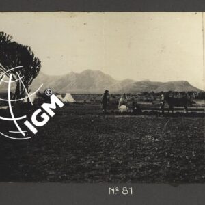 Eritrea - Agamè - Endertà - Uogerat - Azebò -Galla - Ieggiù - FT00000103