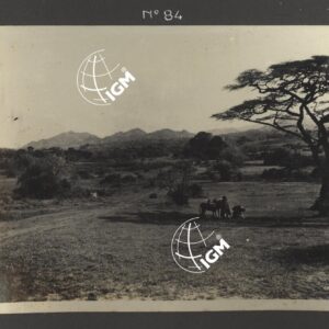 Eritrea - Agamè - Endertà - Uogerat - Azebò -Galla - Ieggiù - FT00000106