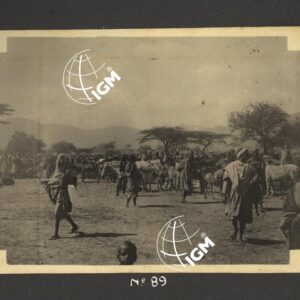 Eritrea - Agamè - Endertà - Uogerat - Azebò -Galla - Ieggiù - FT00000111