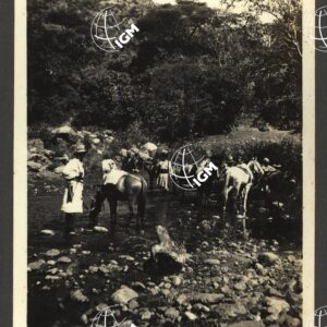 Eritrea - Agamè - Endertà - Uogerat - Azebò -Galla - Ieggiù - FT00000113