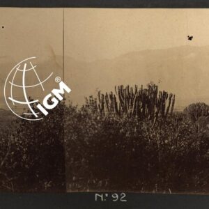 Eritrea - Agamè - Endertà - Uogerat - Azebò -Galla - Ieggiù - FT00000114