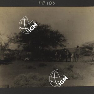 Dancalia - Aussa - Batiè - Uollo - FT00000127