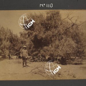 Dancalia - Aussa - Batiè - Uollo - FT00000134