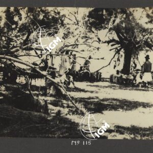 Dancalia - Aussa - Batiè - Uollo - FT00000139