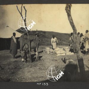 Dancalia - Aussa - Batiè - Uollo - FT00000158
