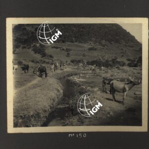 Ieggiù - Angot - Lasta - Uag - Seloà -Tembien - FT00000176
