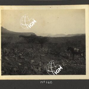 Ieggiù - Angot - Lasta - Uag - Seloà -Tembien - FT00000194