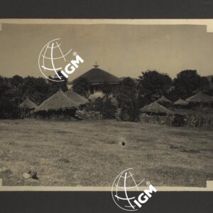 Uollo - FT00000226