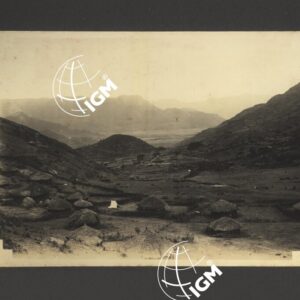 Uollo - FT00000227