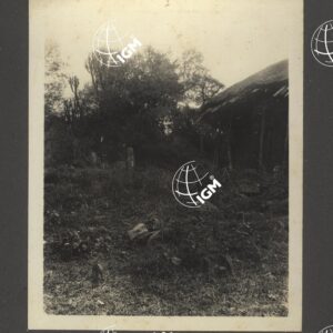 Uollo - FT00000231