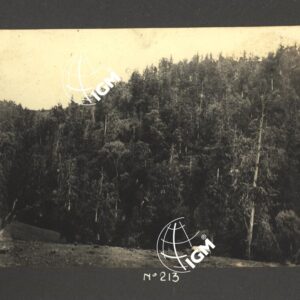 Uollo - FT00000241